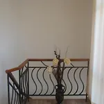 Toro Negro 3*