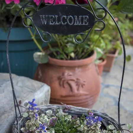 Szálloda Toro Negro Aranyhomok